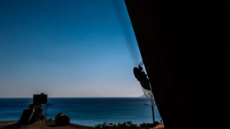 Backlit insect on a pole with blurry sea
