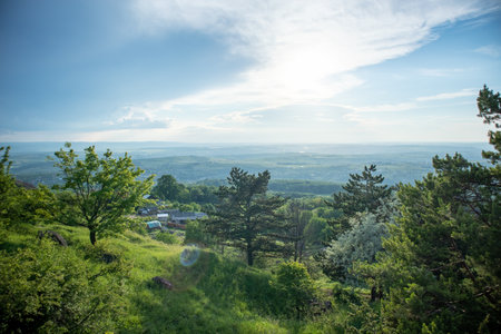 Natural landscape of nature hill with trees and sky covered in clouds