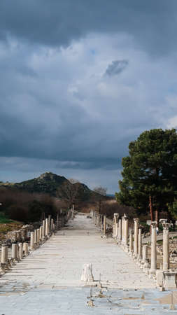Street with old columns in Ephesus Ancient City