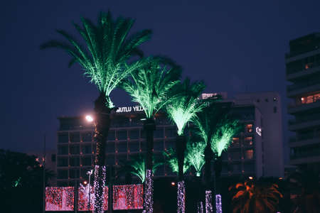 Izmir, Turkey, 4th of January 2022 - Green illuminated artificial palm trees in a park with buildings behindの写真素材