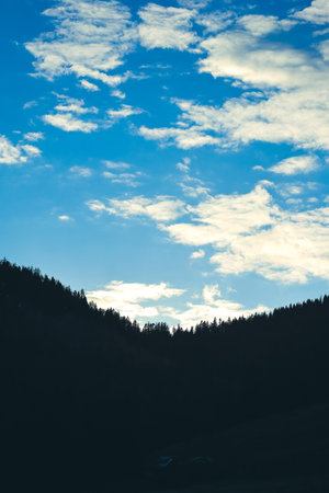Backlit silhouette trees in the mountain with blue sky with cloudsの写真素材