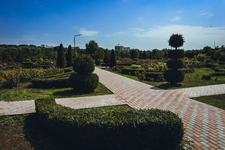 Dendrarium Park in Chisinau during a sunny day with clear sky, Republic of Moldovaの写真素材
