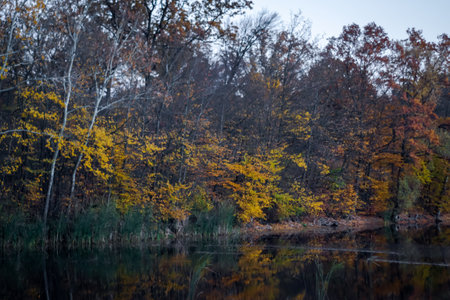 Autumn landscape of lake and treesの写真素材