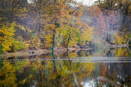 Autumn landscape of lake and treesの写真素材