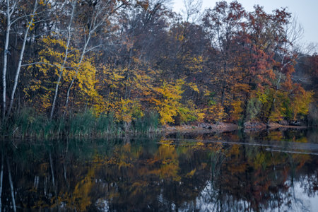Autumn landscape of lake and trees with clear skyの写真素材