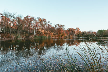 Autumn landscape of lake and trees with clear skyの写真素材