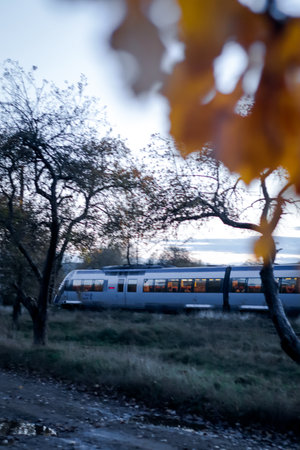 Speed train going through trees during autumnの写真素材