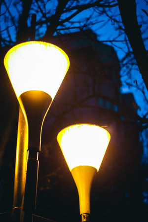 Close up of Street light in a park during the night, Iasi, Romaniaの写真素材