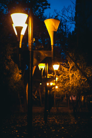 Street light in a park during the night, Iasi, Romaniaの写真素材