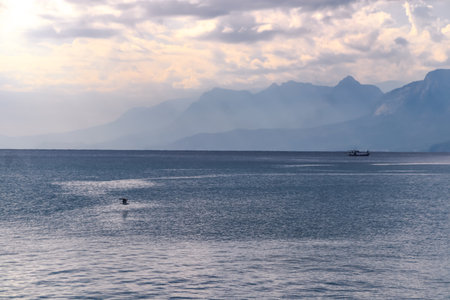 Bird flying above the Mediterranean Sea and mountains peak in the distance seen from Antalya coast,...