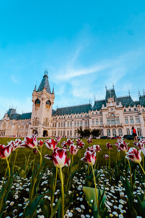 A breathtaking view of the Palace of Culture in IaÈi, Romania, surrounded by vibrant spring flowers under a clear blue skyの写真素材