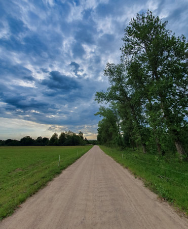 A long dirt road stretches through green fields and trees under a dramatic blue cloudy sky, evoking calm and solitude, Renavas, Lithuaniaの写真素材