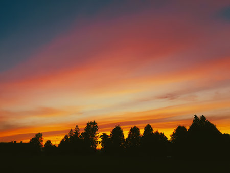 Fiery orange and pink sunset illuminates the sky behind a silhouette of tall trees on a peaceful eveningの写真素材
