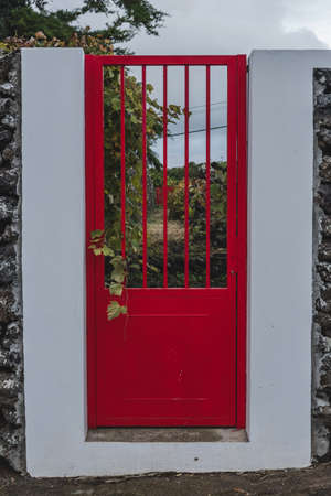 Colorful Doorway with plants, Terceira Island, Portugal