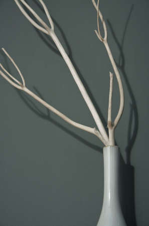 Easy vase with nice contrast background, soft shadow.の写真素材