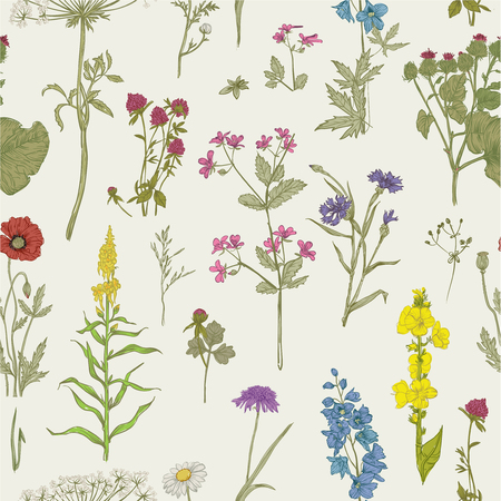 seamless floral pattern. vector illustrationのイラスト素材