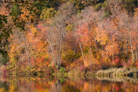 Colorful autumn colors at William O'Brian State Park.