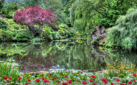 An HDR landscape of a forest and pond.の写真素材