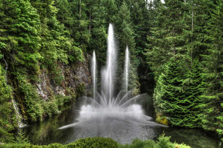 Water fountain in the park surrounded by treesの写真素材