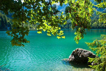 Lake Tovel in Italyの写真素材