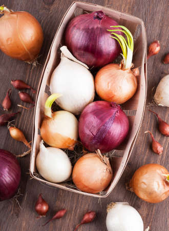 Different varieties of onions on a kitchen board and wooden surfaceの写真素材