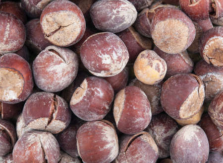 Hazel nut dry brown background with detail closeupの写真素材