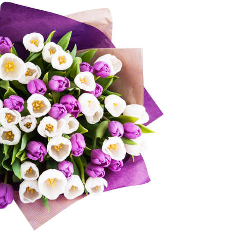 Bouquet of tulips isolated on white backgroundの写真素材