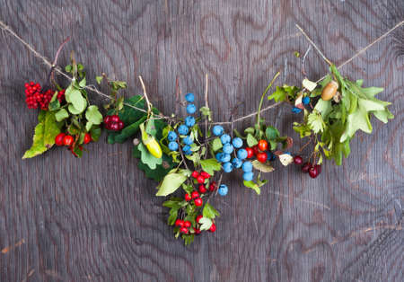 Dry autumn berries on rope and wooden background の写真素材