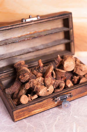 Dried galangal root in the wooden box