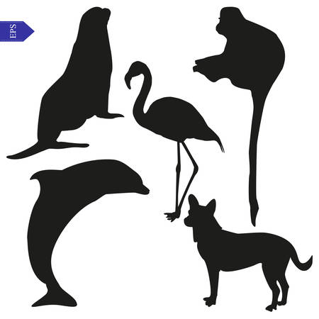 Vector silhouettes of seal, dog, flamingo, dolphin and monkeyのイラスト素材