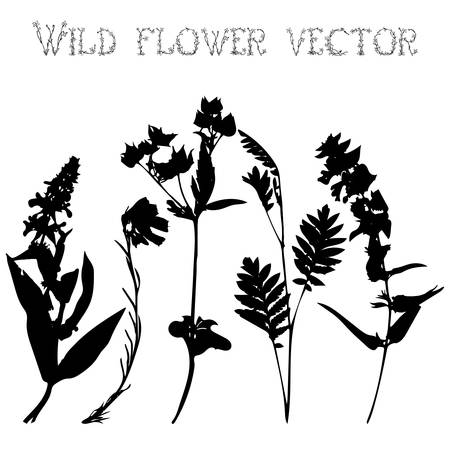 Set black silhouettes of wild flowers and leaves vector illustrationのイラスト素材