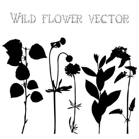 Set black silhouettes of wild flowers and leaves vector illustrationのイラスト素材