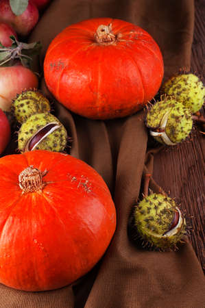 Pumpkin with conker top view on brown backgroundの写真素材