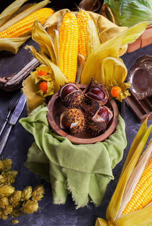 Set of autumn harvest top view on a green towelの写真素材