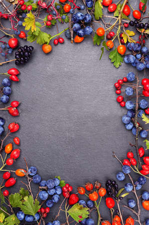 Frame with wild berries on a slate board with copy spaceの写真素材