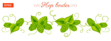 Set of cones and leaves of a hop plant isolated on white.のイラスト素材