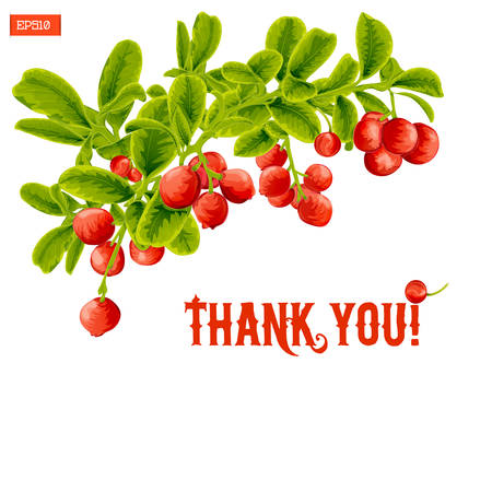Card with a branch of lingonberry berries, leaves and text thank you. Vector illustration isolated on white. Hand drawingのイラスト素材