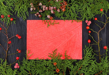 Christmas frame with branches and cones of thuja, red berry of a dogrose and a sheet of red texture paper in the center with copy spaceの写真素材