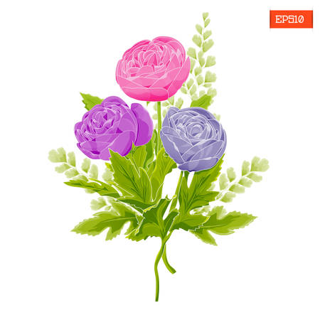 Bouquet of peonies with leaves in watercolor style on a white background. Vector illustrationのイラスト素材