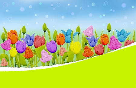 Multicolored tulips on a blurred meadow background. Stylized torn paper for your text. Vector illustration with copy spaceのイラスト素材