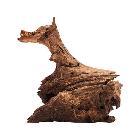 Irregular mangrove brown piece of wood, aquarium decoration isolatedの写真素材