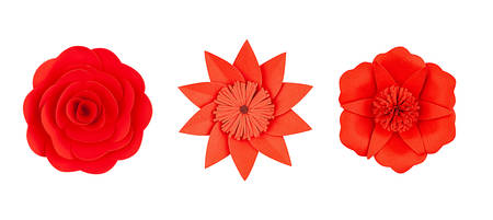 Set red paper flower handmade, top view, isolatedの写真素材