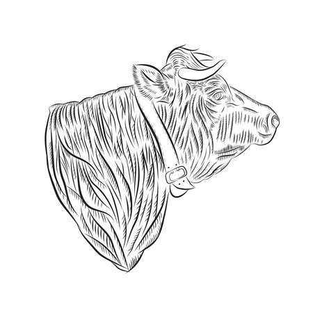 Sketch of a cow's head in the right profile with a belt around the neck vector illustrationのイラスト素材