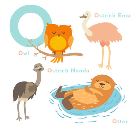 O letter animals set. English alphabet. Vector illustration, isolated on white backgroundのイラスト素材