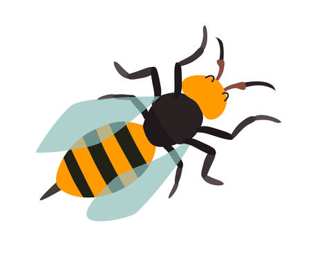 Asian giant hornet icon vector illustration. Cartoon style bee, isolated on a white backgroundのイラスト素材
