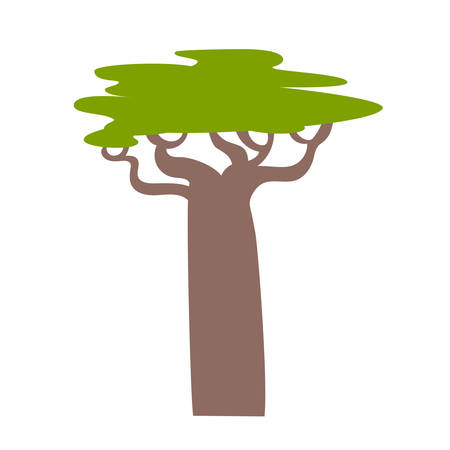 Baobab tree vector illustration. Baobab icon sign. Flat cartoon style draw tree isolated on white backgroundのイラスト素材