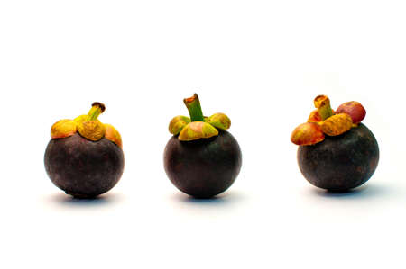 mangosteen on white  backgroundの写真素材