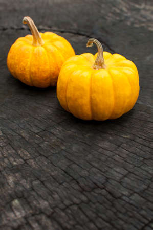 orange pumpkins lay on a wooden backgroundの写真素材