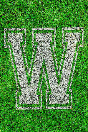 White english alphabeth on green grassの写真素材