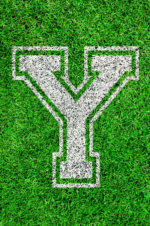 White english alphabeth on green grassの写真素材